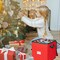 Christmas Ornament Storage Box Christmas Decor Storage Containers that Store up to 64 – 3” x 3” Holiday Xmas Ornaments – Adjustable Compartment To Fit Many Sizes Ornaments – Red